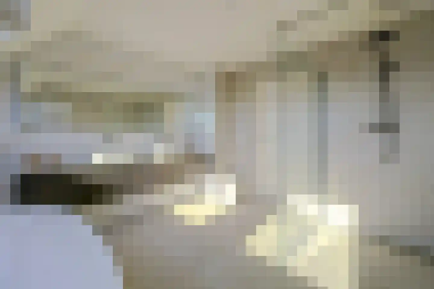 Herdershoefje 12 Wemeldinge thumbnail 49
