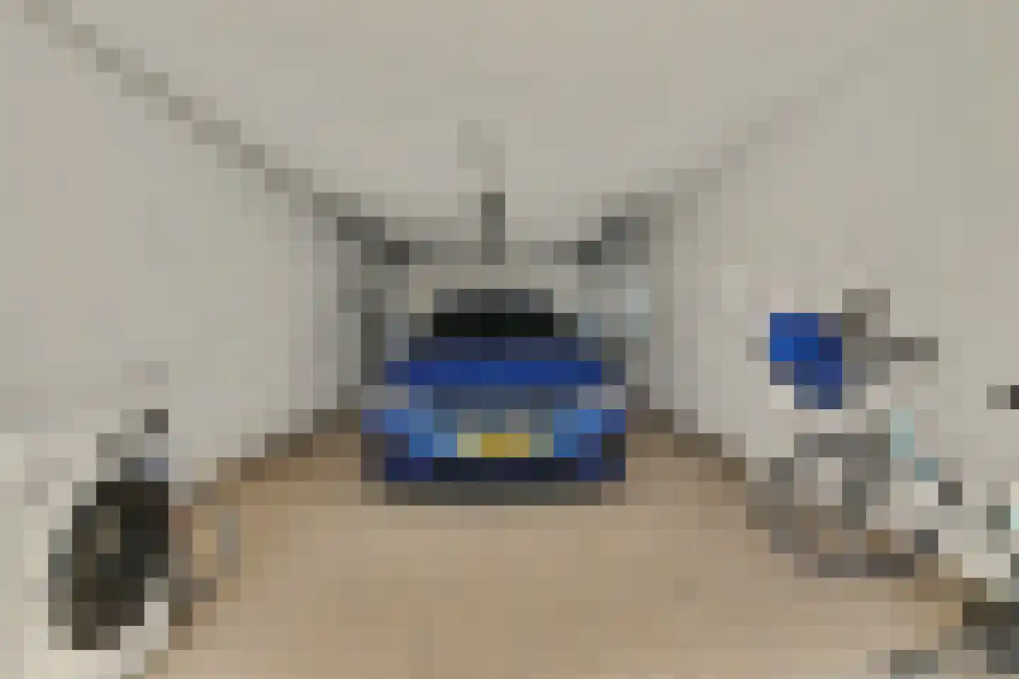 Herdershoefje 12 Wemeldinge thumbnail 52