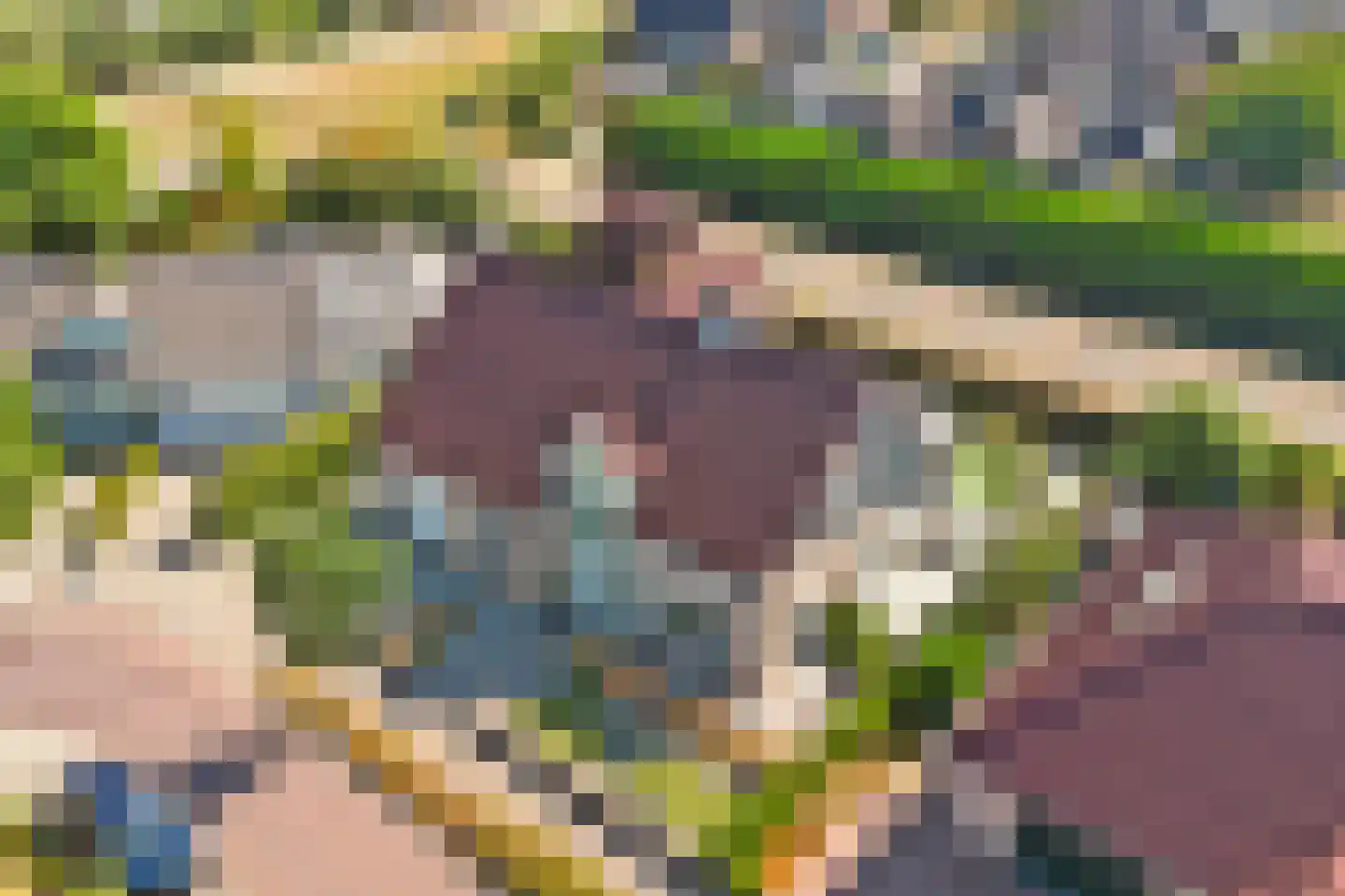 Herdershoefje 12 Wemeldinge thumbnail 61