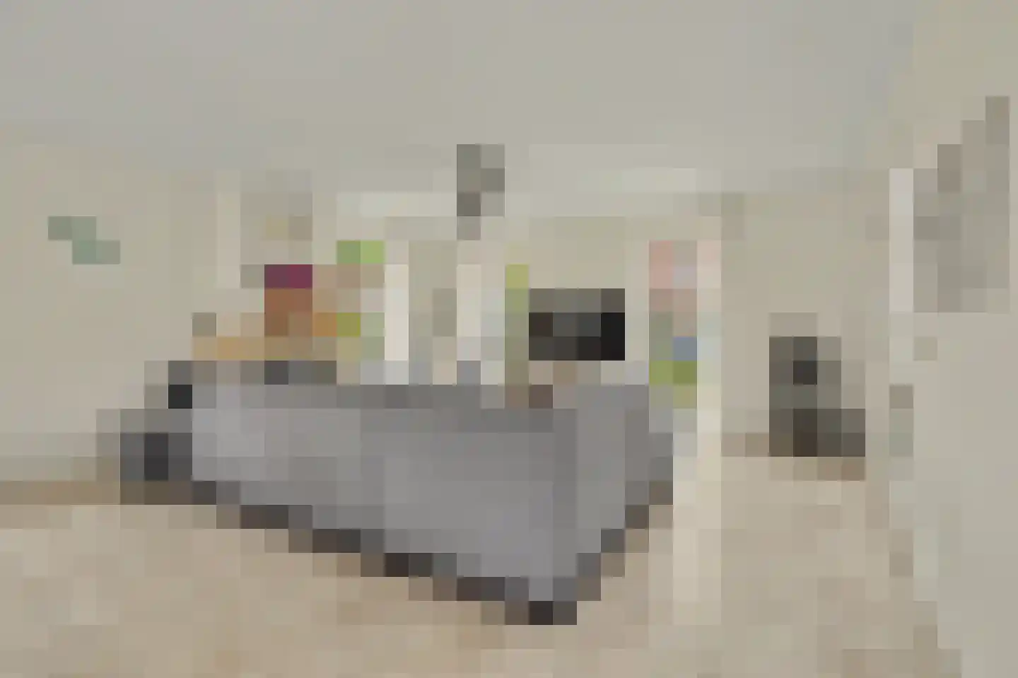 Herdershoefje 23 Wemeldinge thumbnail 12