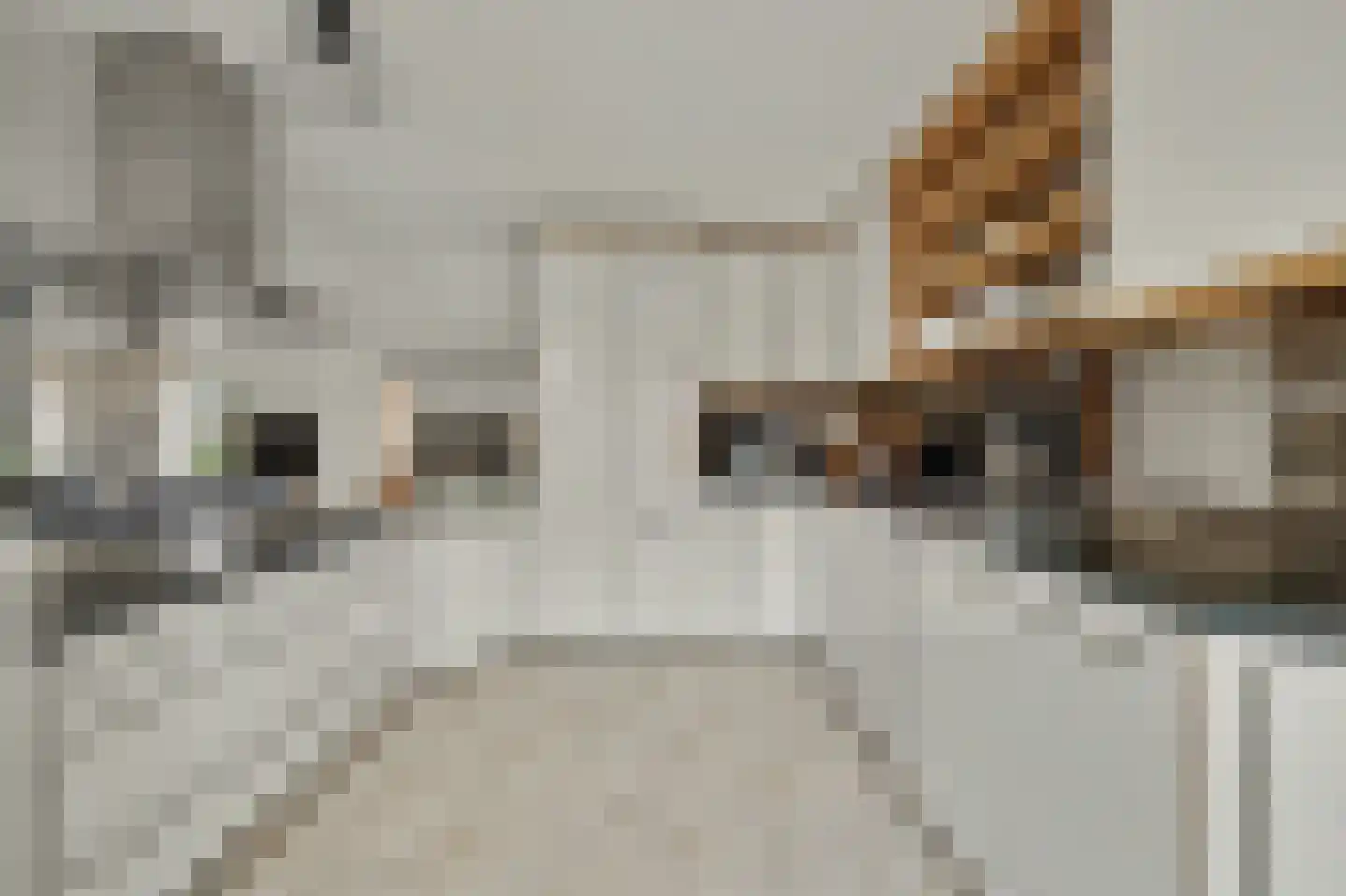 Herdershoefje 23 Wemeldinge thumbnail 20