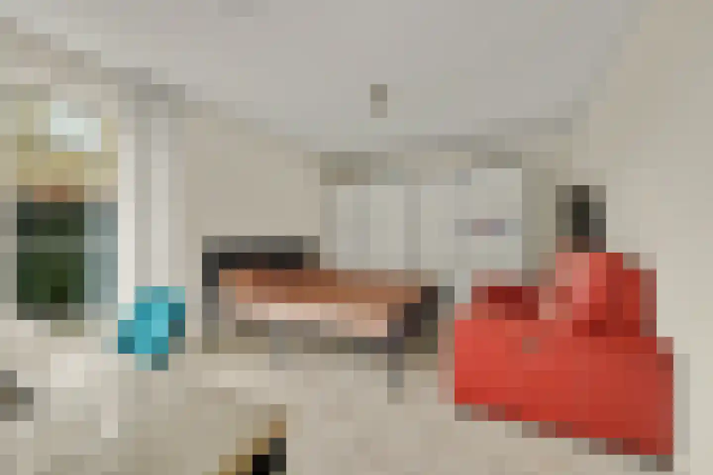 Herdershoefje 23 Wemeldinge thumbnail 23