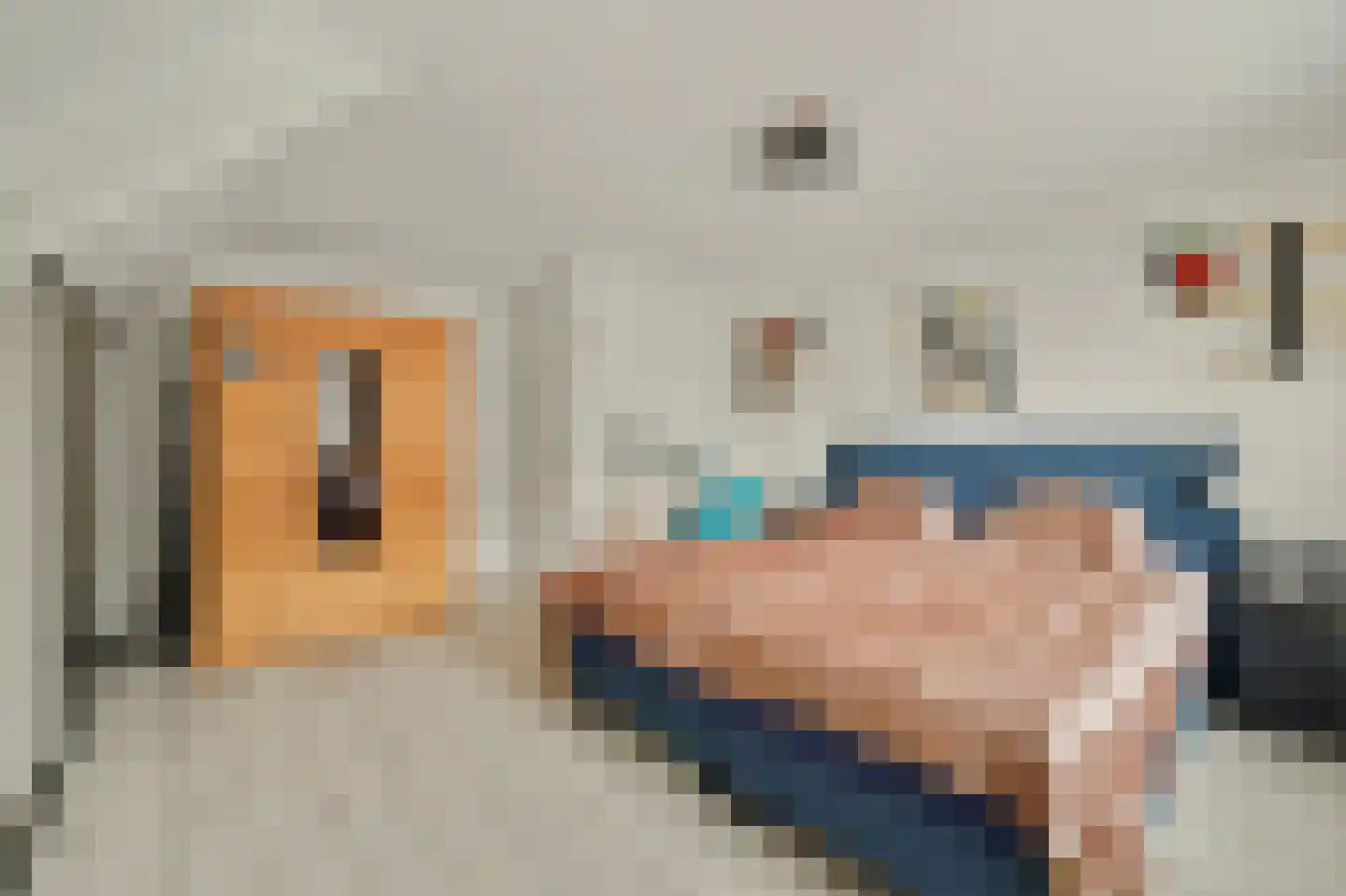 Herdershoefje 23 Wemeldinge thumbnail 29