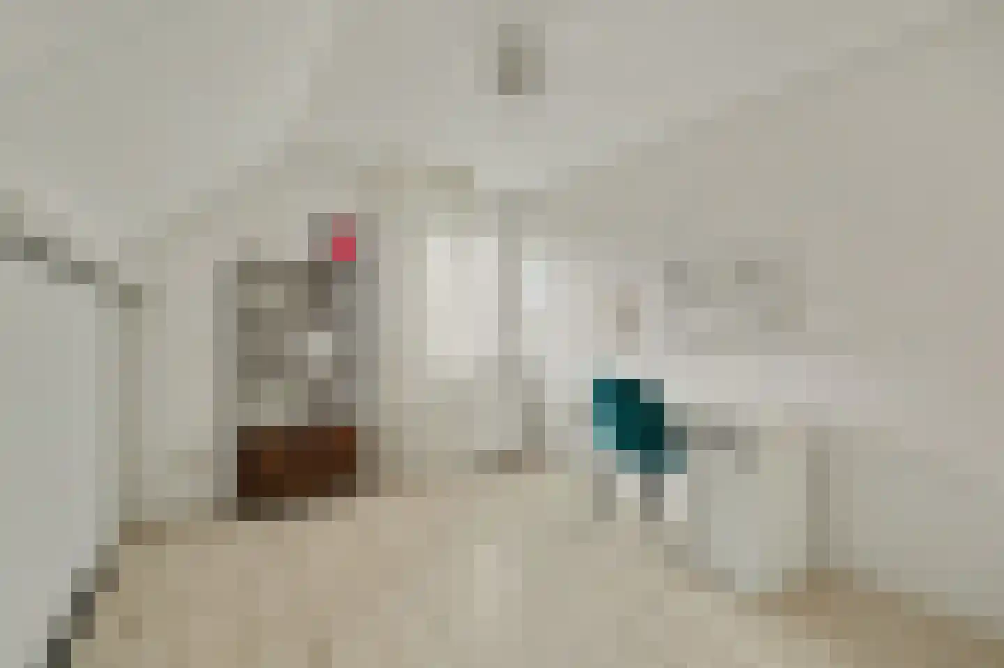 Herdershoefje 23 Wemeldinge thumbnail 33
