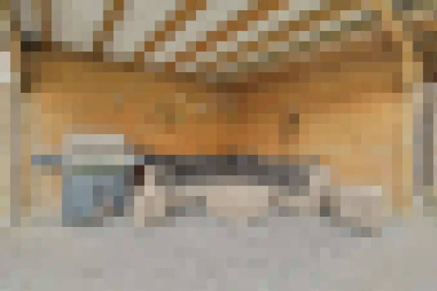 Herdershoefje 23 Wemeldinge thumbnail 42