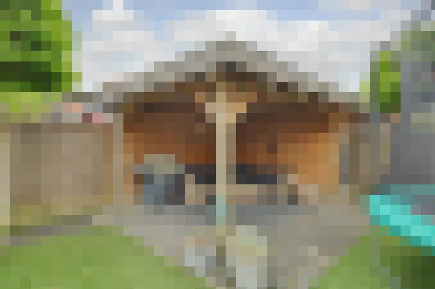 Herdershoefje 23 Wemeldinge thumbnail 43