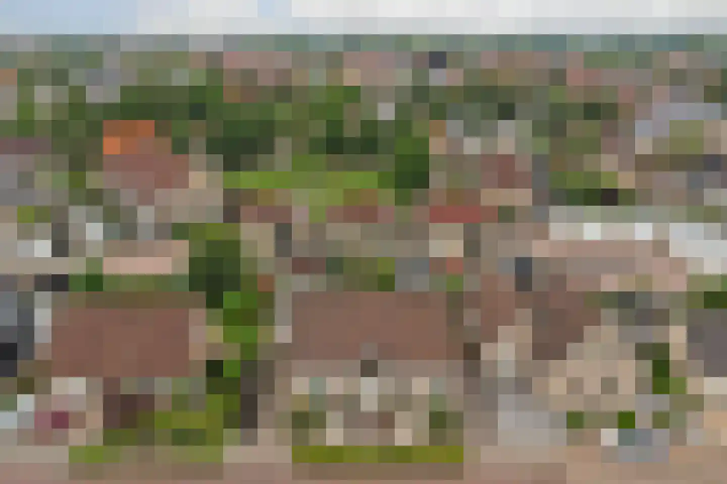 Herdershoefje 23 Wemeldinge thumbnail 54