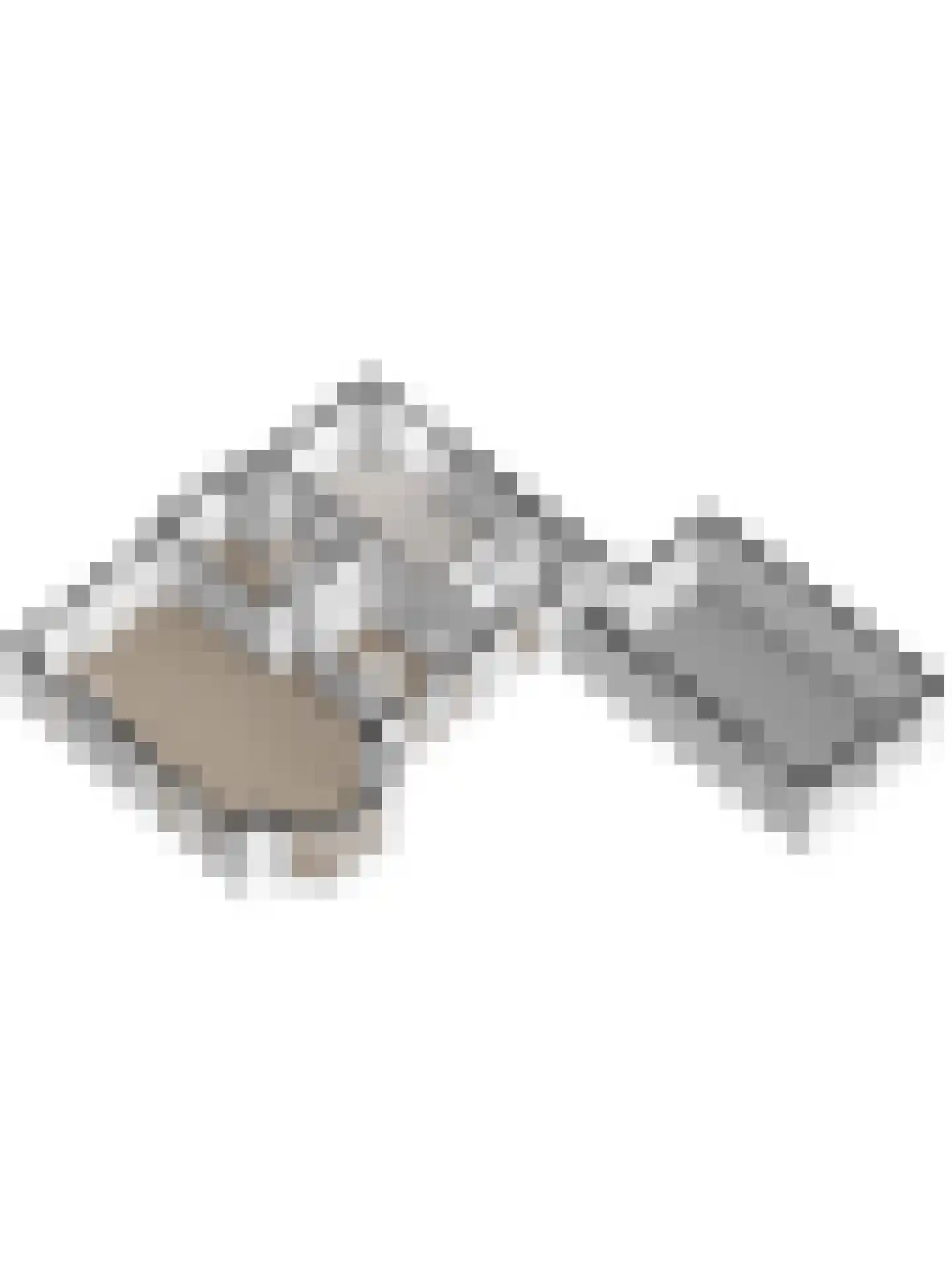 Herdershoefje 23 Wemeldinge thumbnail 70