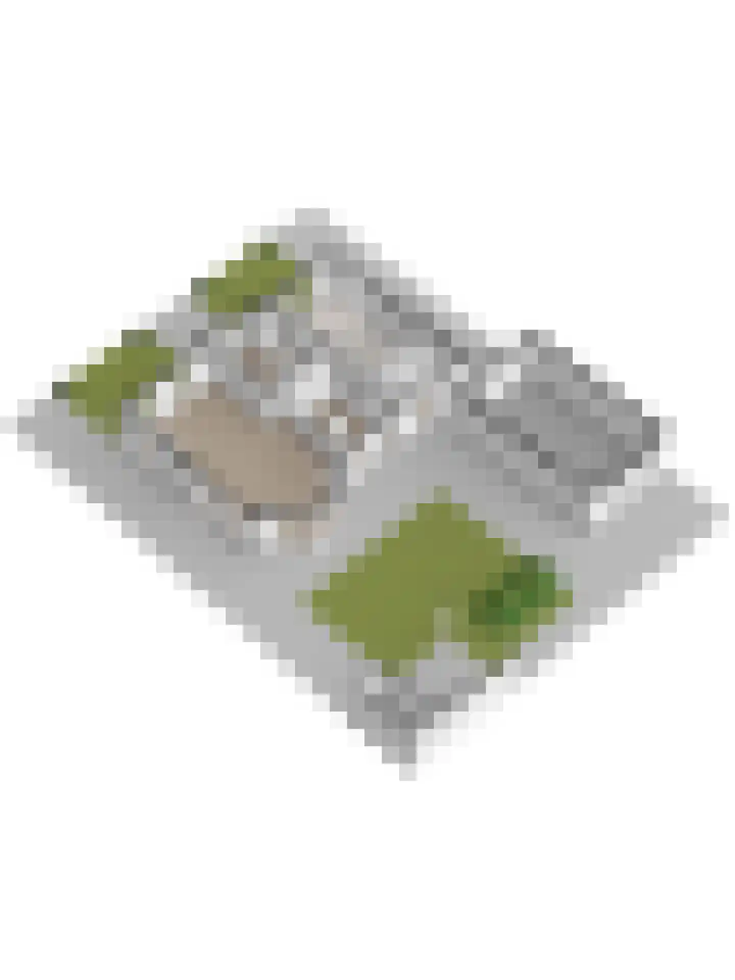 Herdershoefje 23 Wemeldinge thumbnail 73