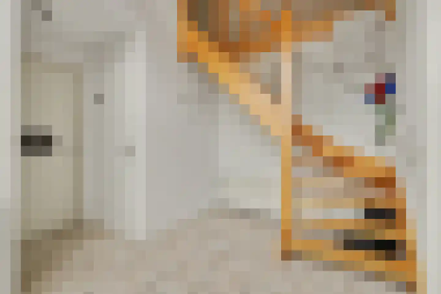 Herdershoefje 23 Wemeldinge thumbnail 9