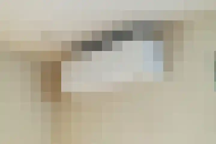Herdershoefje 35 Wemeldinge thumbnail 13