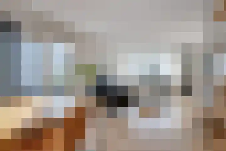 Herdershoefje 35 Wemeldinge thumbnail 14