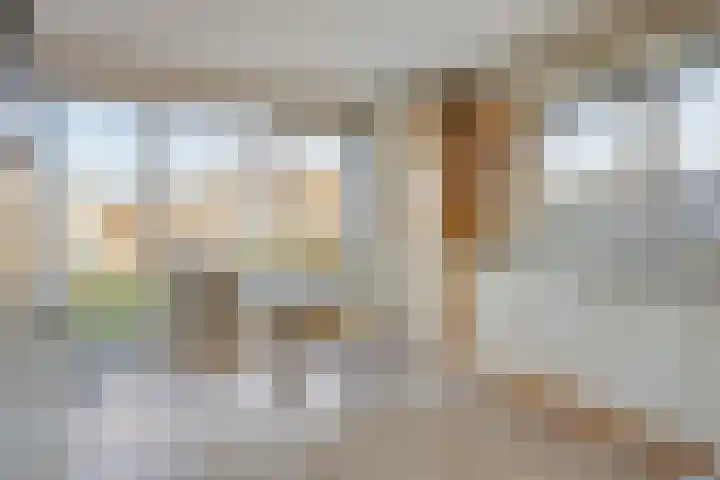 Herdershoefje 35 Wemeldinge thumbnail 16