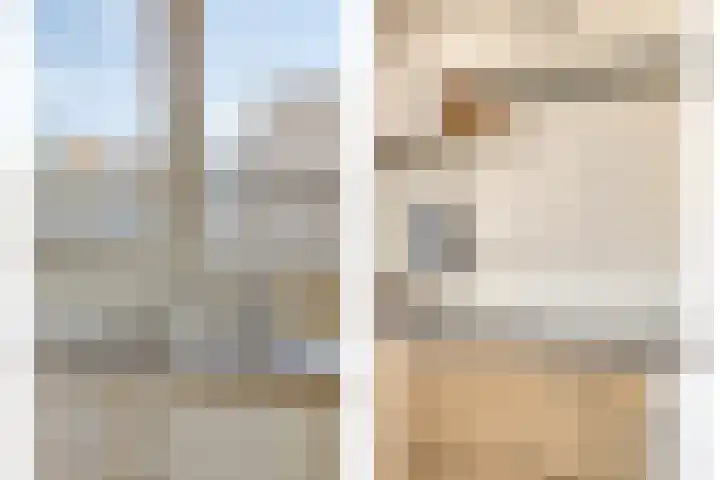 Herdershoefje 35 Wemeldinge thumbnail 19