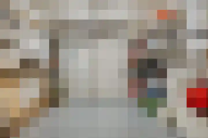 Herdershoefje 35 Wemeldinge thumbnail 27
