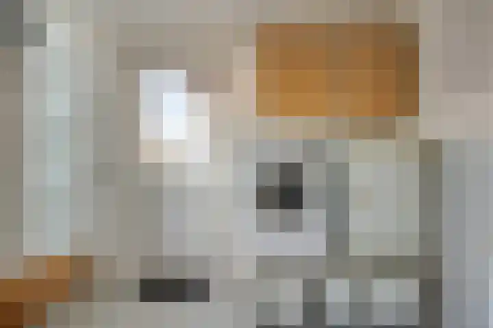 Herdershoefje 35 Wemeldinge thumbnail 30