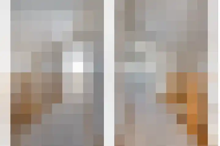 Herdershoefje 35 Wemeldinge thumbnail 32