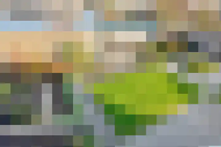 Herdershoefje 35 Wemeldinge thumbnail 41