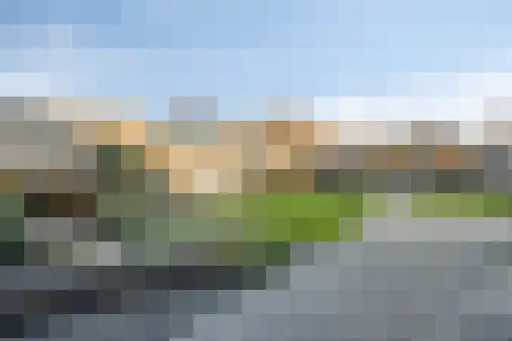 Herdershoefje 35 Wemeldinge thumbnail 42