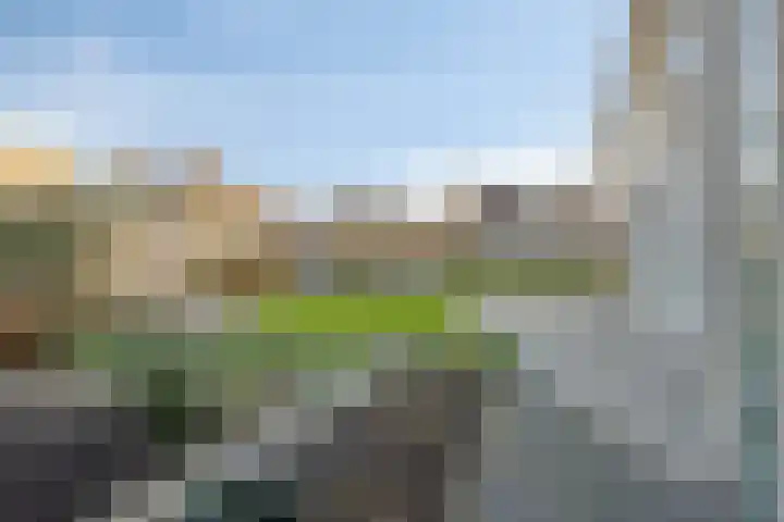 Herdershoefje 35 Wemeldinge thumbnail 43
