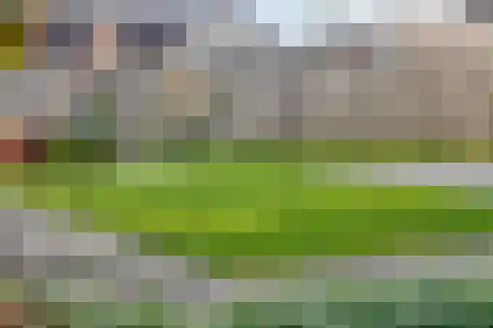 Herdershoefje 35 Wemeldinge thumbnail 44
