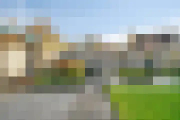 Herdershoefje 35 Wemeldinge thumbnail 47