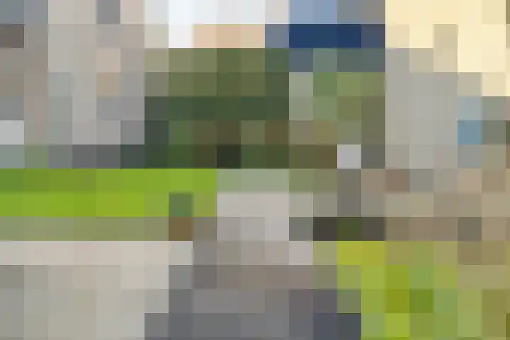 Herdershoefje 35 Wemeldinge thumbnail 48