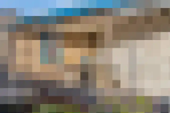 Herdershoefje 35 Wemeldinge thumbnail 51