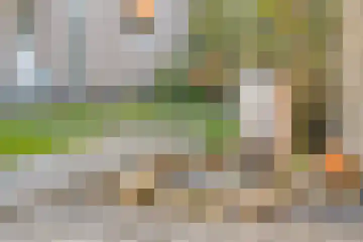 Herdershoefje 35 Wemeldinge thumbnail 52