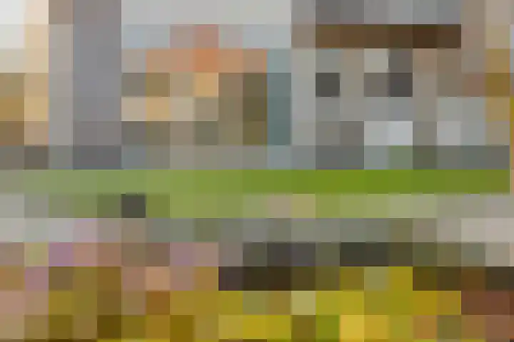Herdershoefje 35 Wemeldinge thumbnail 54