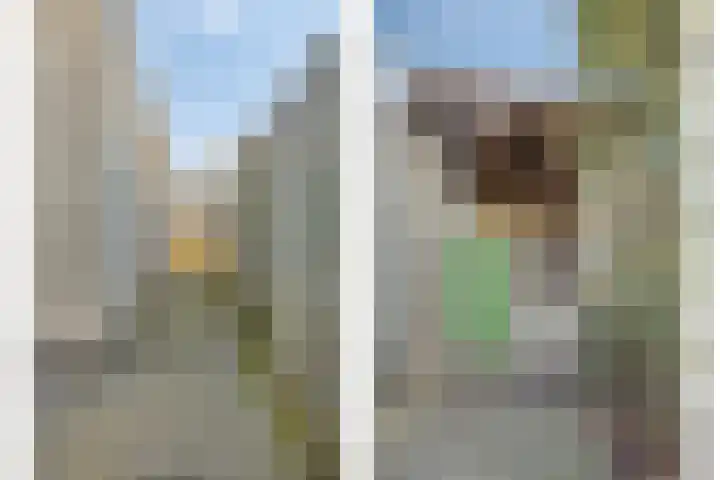 Herdershoefje 35 Wemeldinge thumbnail 55