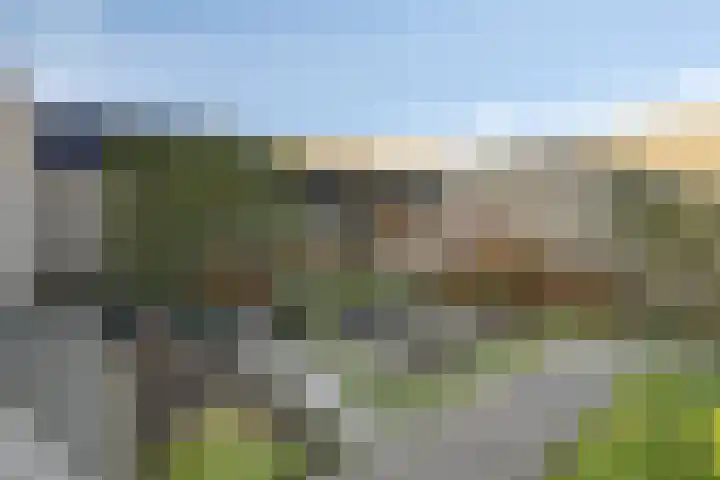 Herdershoefje 35 Wemeldinge thumbnail 56