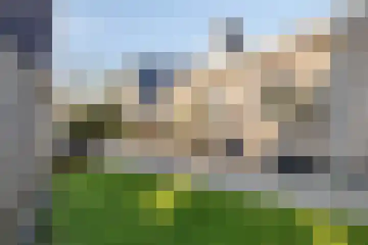 Herdershoefje 35 Wemeldinge thumbnail 57