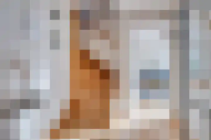 Herdershoefje 35 Wemeldinge thumbnail 6