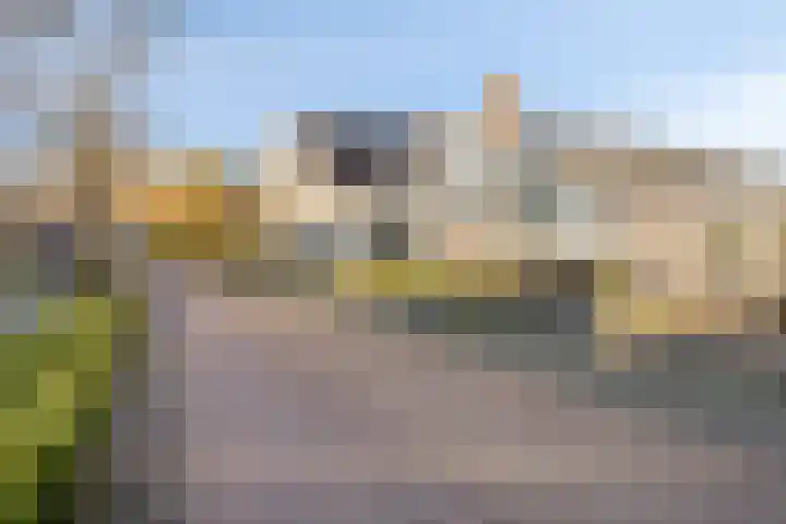 Herdershoefje 35 Wemeldinge thumbnail 62