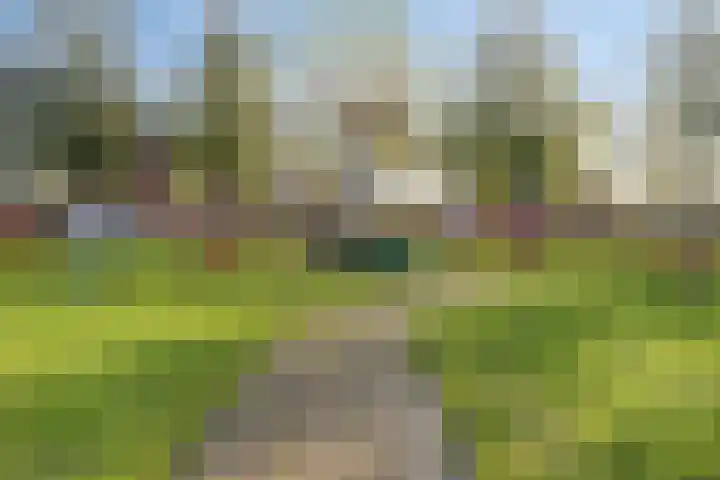 Herdershoefje 35 Wemeldinge thumbnail 63