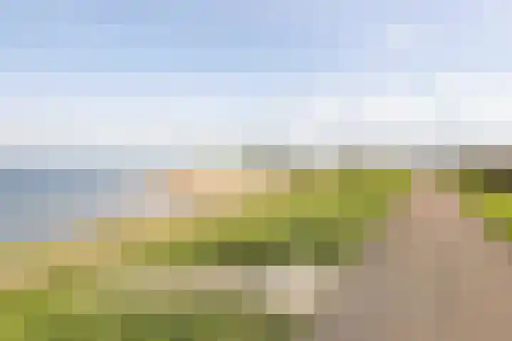 Herdershoefje 35 Wemeldinge thumbnail 64