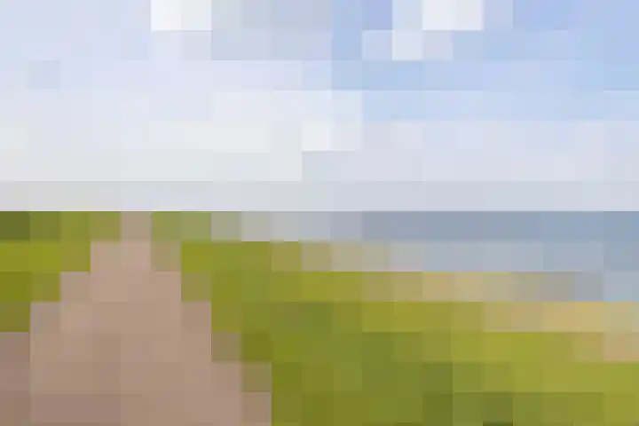 Herdershoefje 35 Wemeldinge thumbnail 65