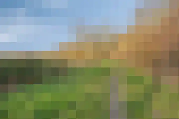 Herdershoefje 35 Wemeldinge thumbnail 66