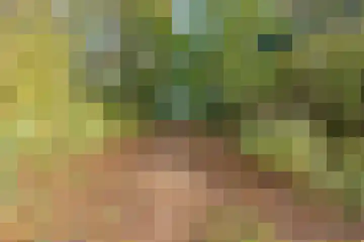 Herdershoefje 35 Wemeldinge thumbnail 67