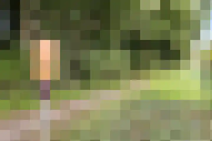 Herdershoefje 35 Wemeldinge thumbnail 68