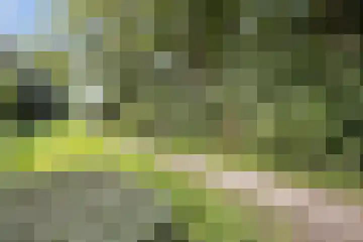 Herdershoefje 35 Wemeldinge thumbnail 69
