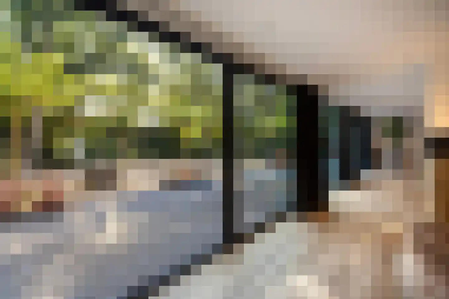 Herdershoeve 3 Laren thumbnail 14