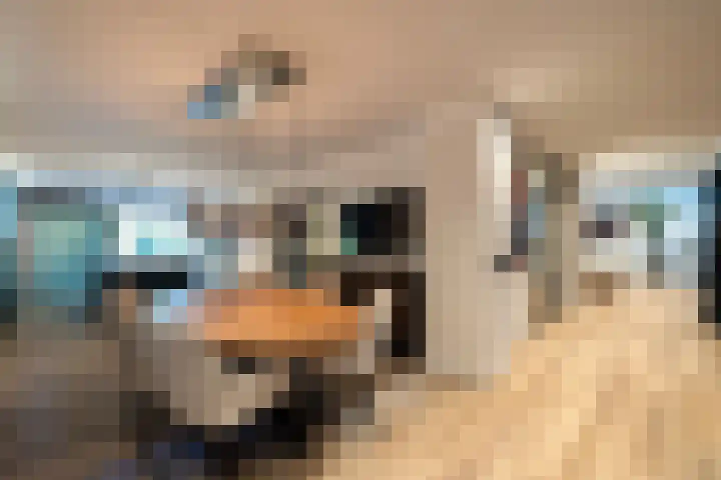 Herdershoeve 3 Laren thumbnail 18