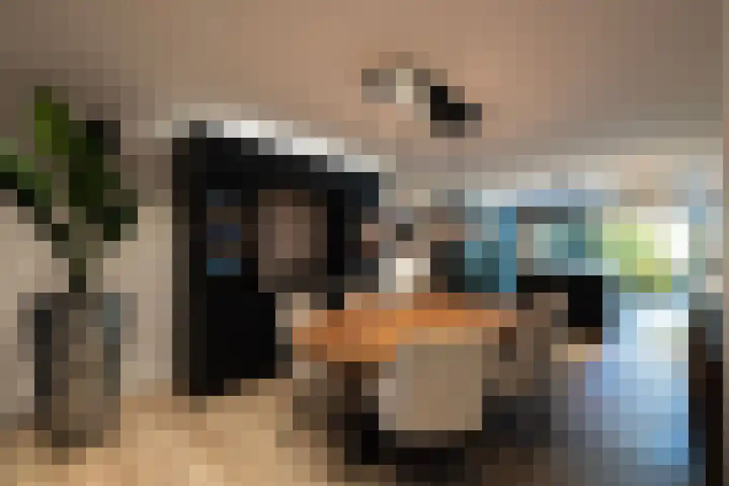 Herdershoeve 3 Laren thumbnail 19