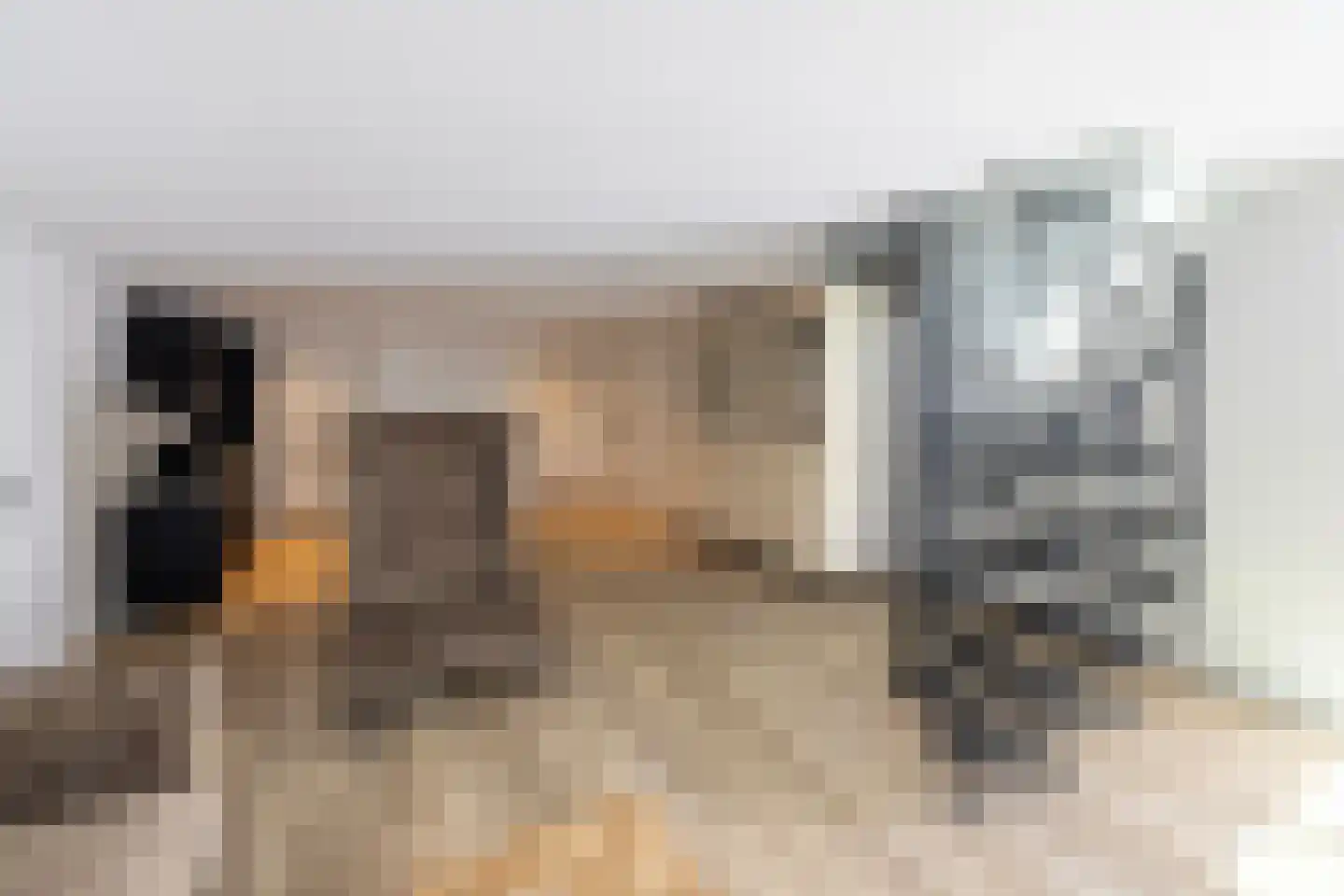 Herdershoeve 3 Laren thumbnail 30