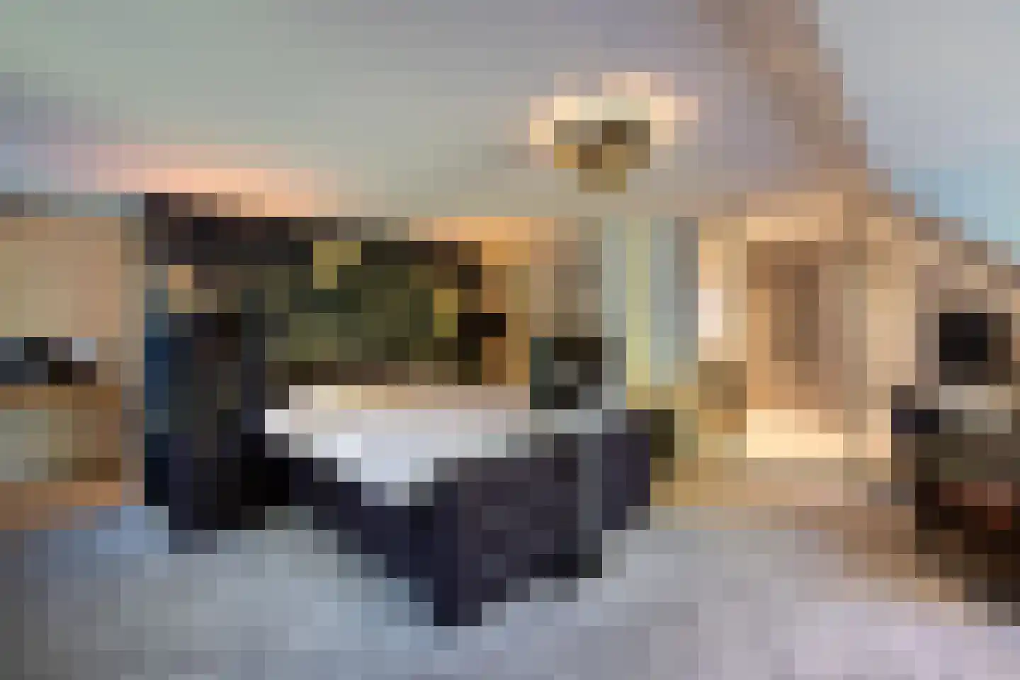 Herdershoeve 3 Laren thumbnail 33