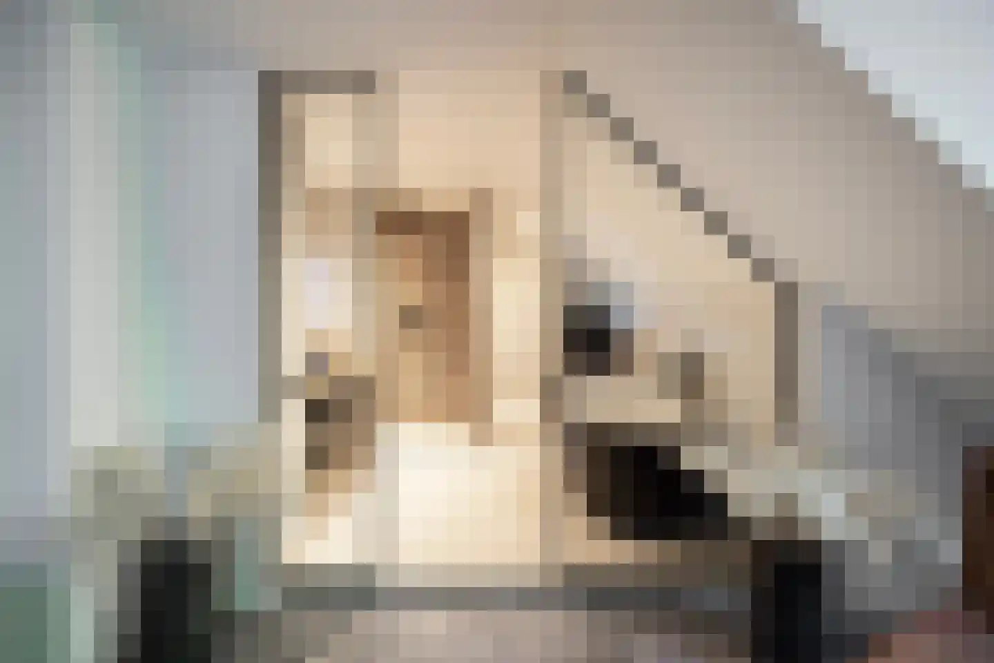 Herdershoeve 3 Laren thumbnail 34