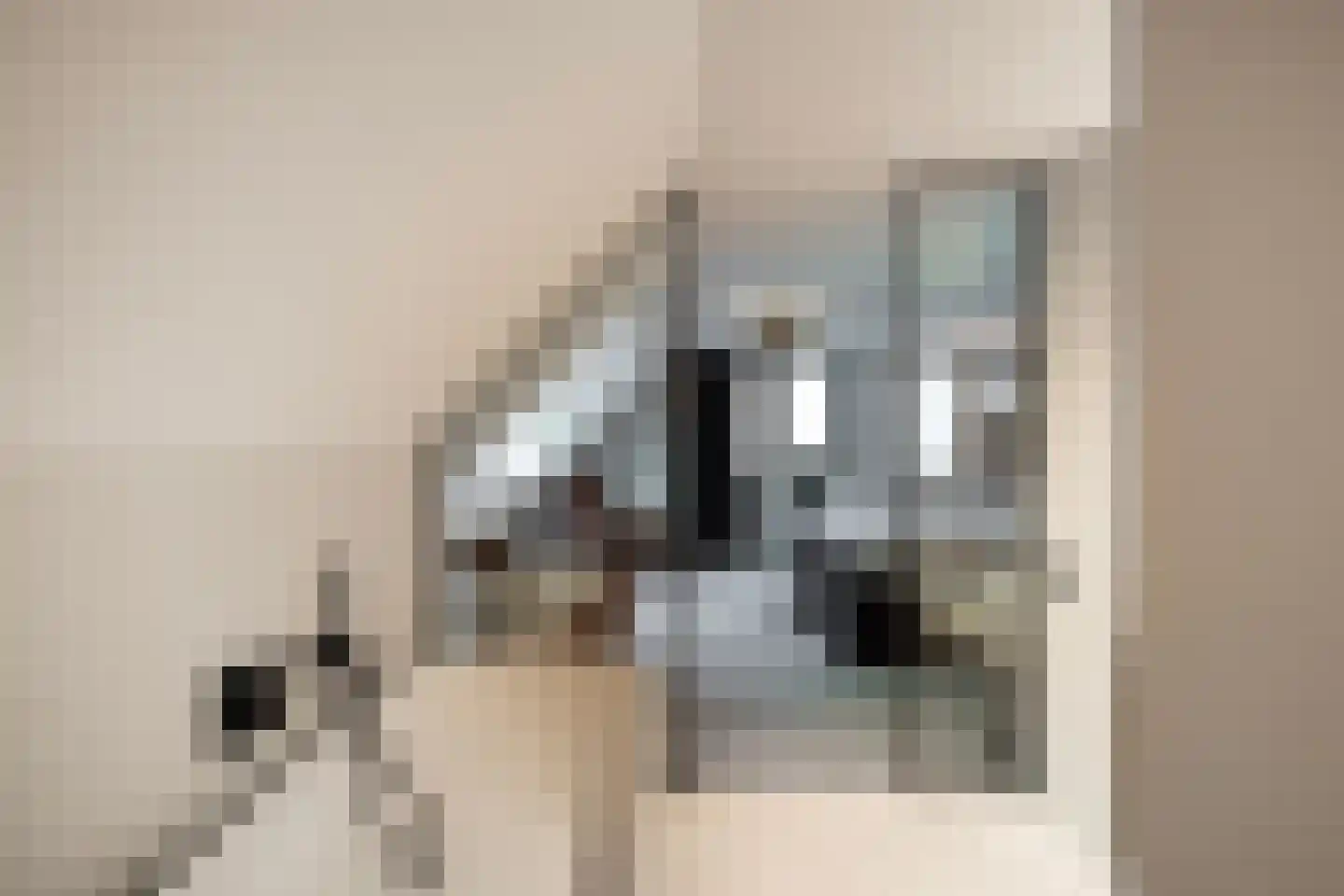 Herdershoeve 3 Laren thumbnail 36