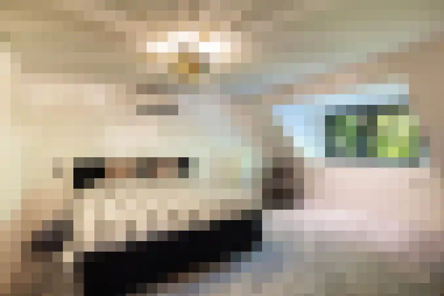 Herdershoeve 3 Laren thumbnail 39